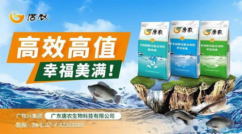 豆粕玉米持續(xù)聯(lián)動上漲，飼料廠壓力大增 江門、佛山、茂名、海南水產(chǎn)料全線上漲，防腐劑也未能幸免